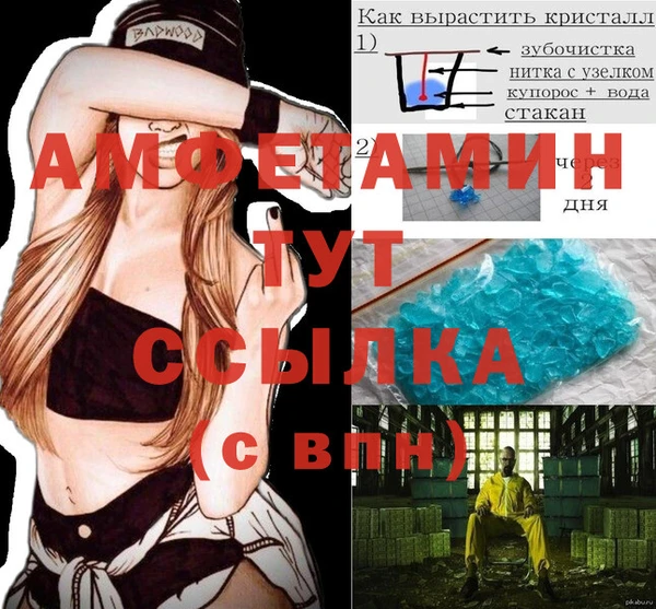 соль ск Новозыбков