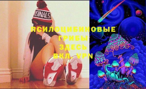 spice Новодвинск