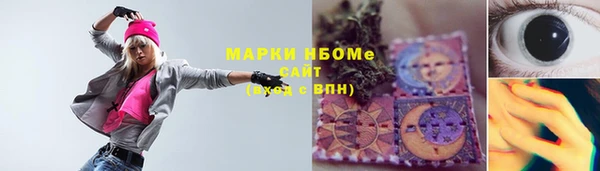 соль ск Новозыбков