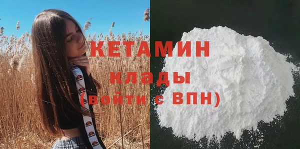 трава Абаза