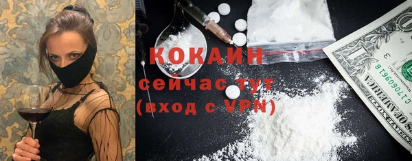 spice Новодвинск