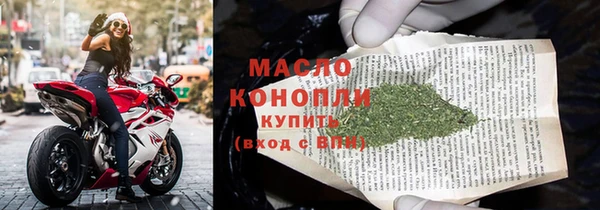 соль ск Новозыбков