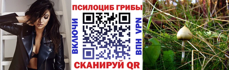Галлюциногенные грибы мухоморы  Рославль 
